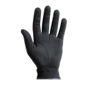 FootJoy RainGrip Golf Glove Men's, Golf Gloves